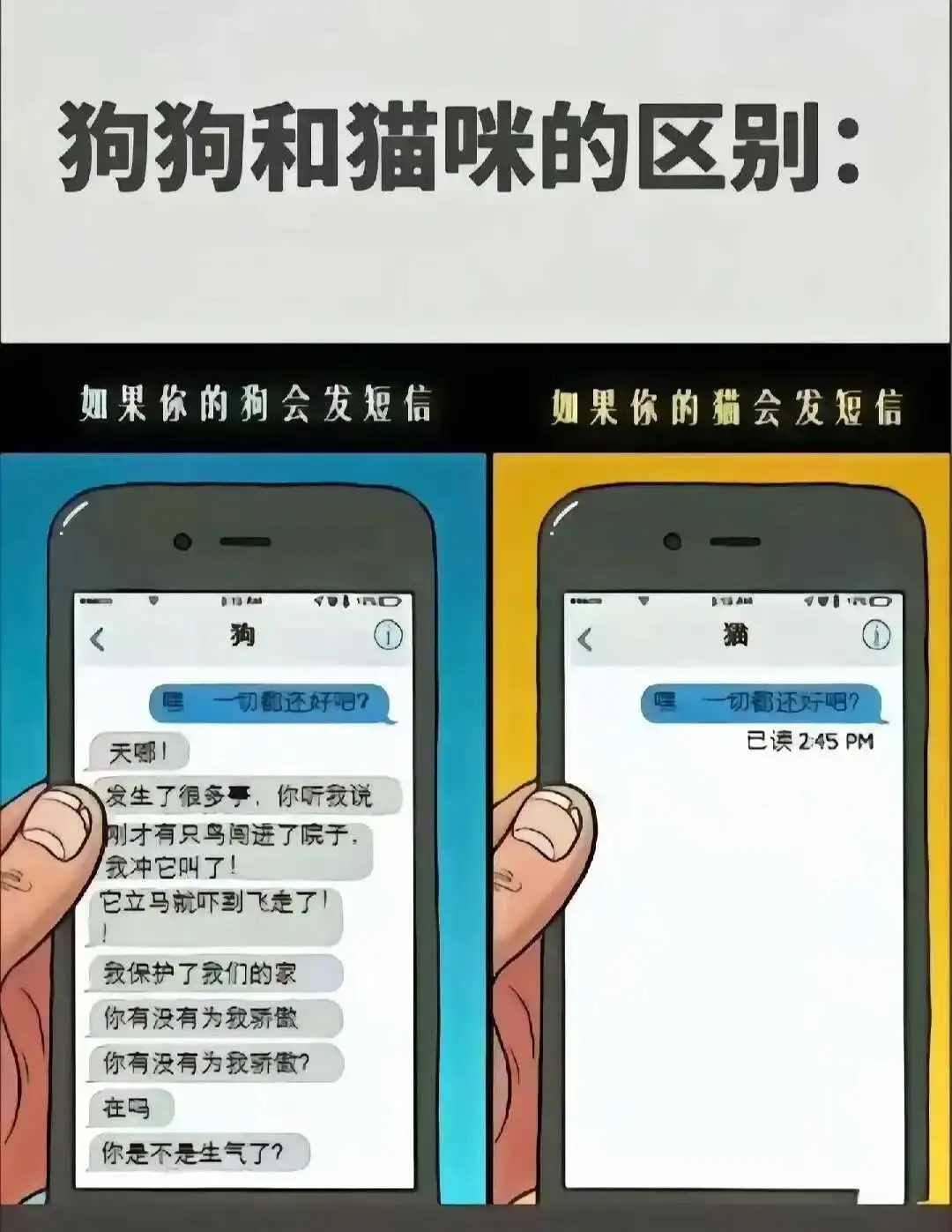 西檬之家-BD是什么？字母圈新人入圈指南