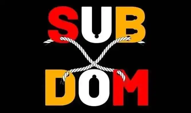 西檬之家-字母圈新人如何入圈？BDSM术语全解析