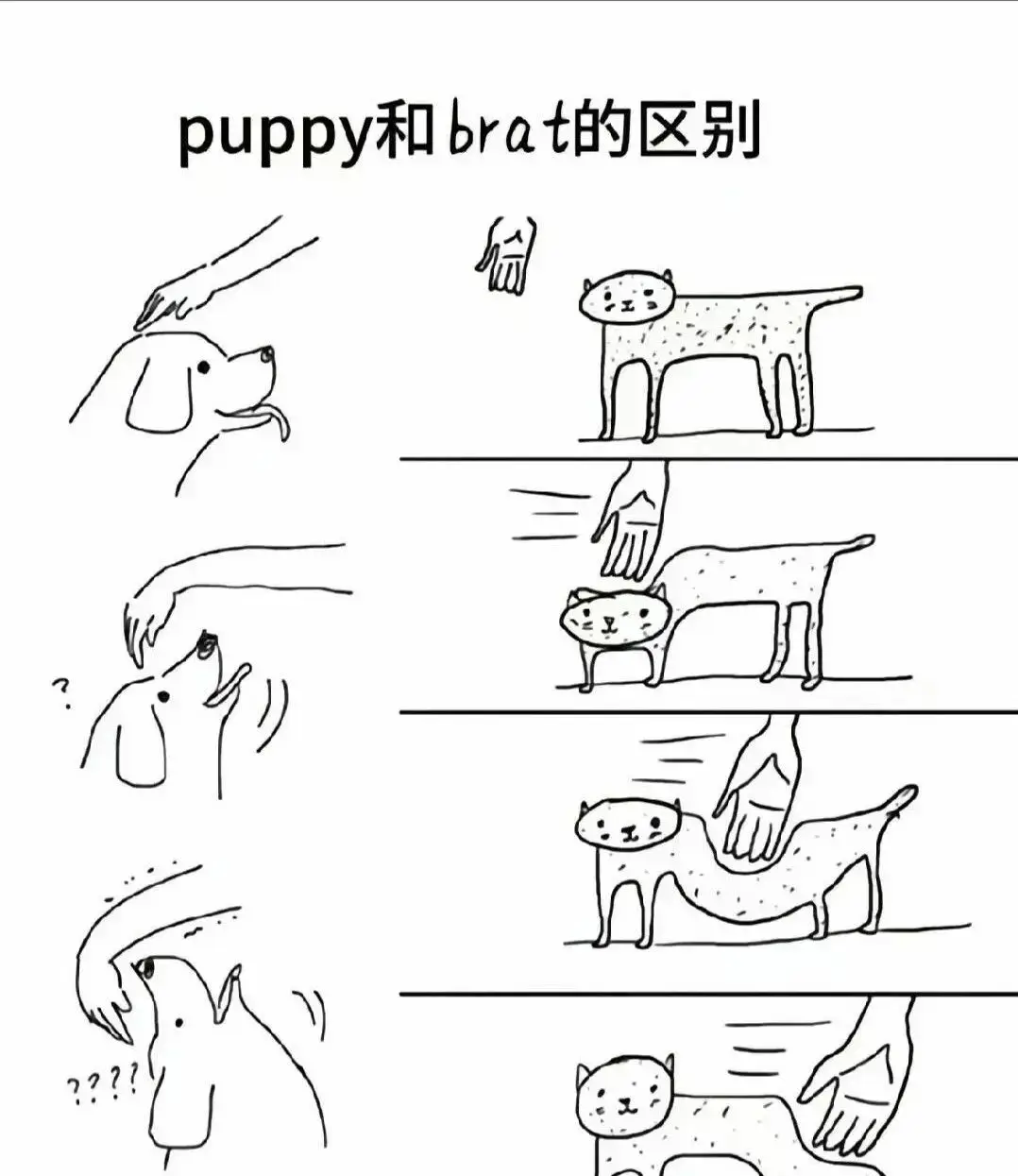 西檬之家-字母圈的DOM是什么意思？BDSM新手指南