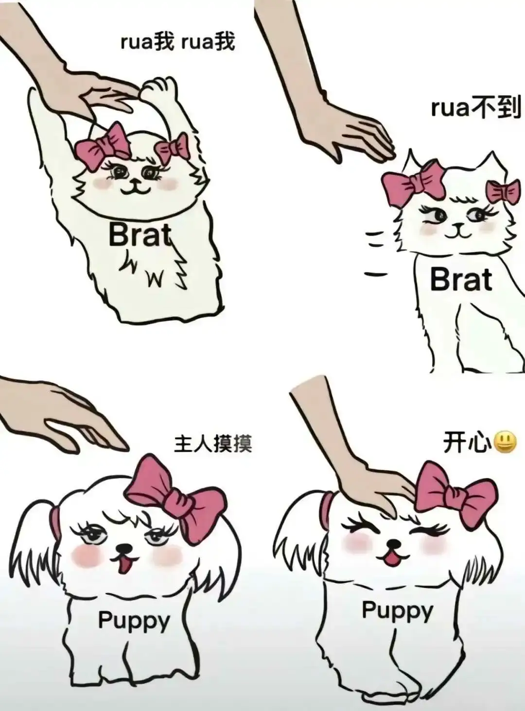 西檬之家-字母圈新人指南