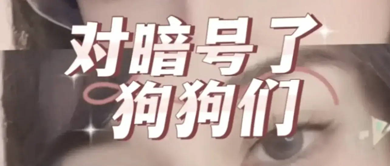 西檬之家-字母圈的Dom是什么？新人入门指南