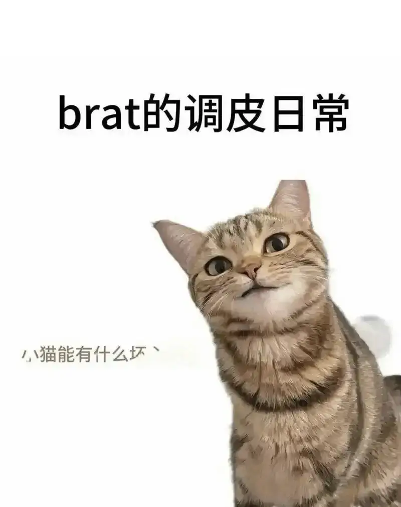 西檬之家-字母圈PE是什么及其实践指南
