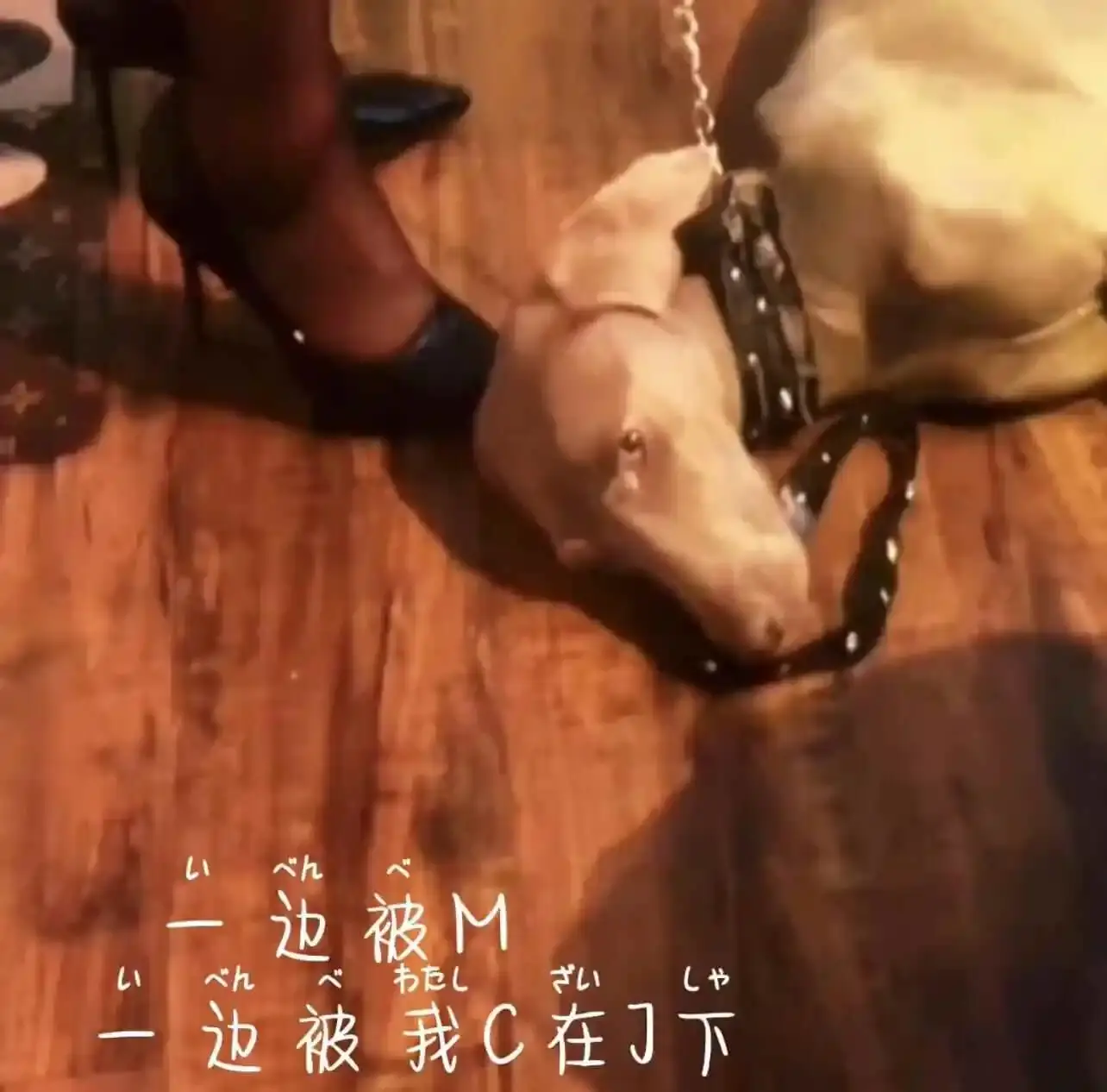 西檬之家-M倾向在字母圈中的含义：BDSM新人指南