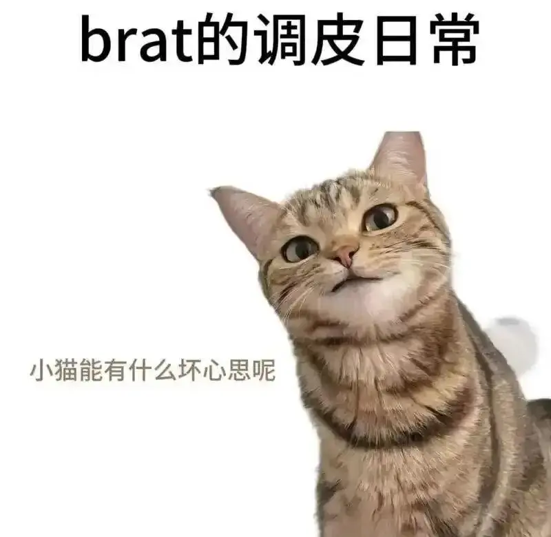 西檬之家 - DS关系是什么？作为新人入圈指南
