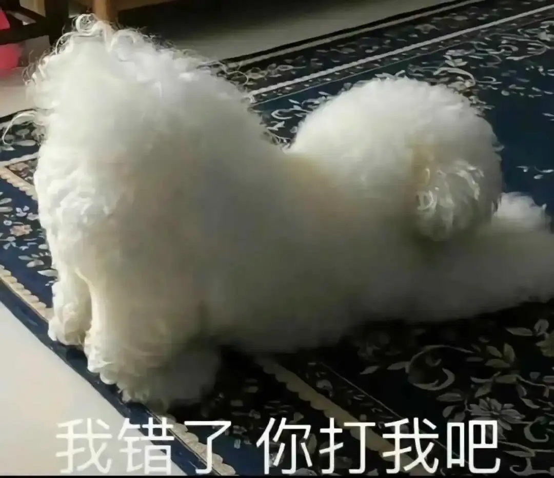 【西檬之家】BDSM新人小圈入圈指南：从基础术语到安全实践